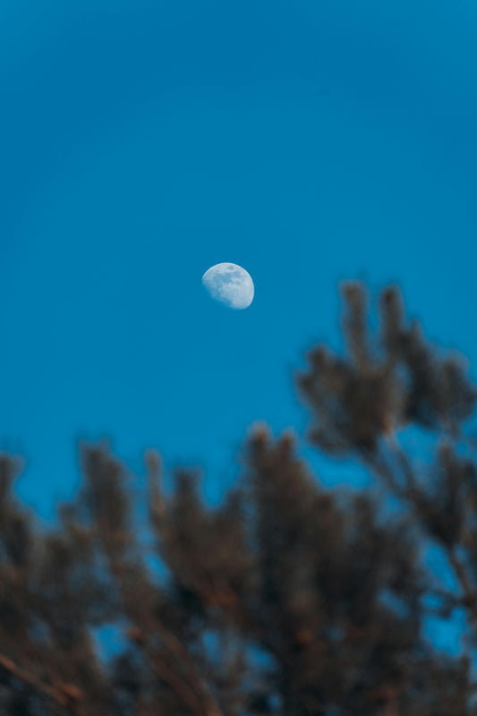 The Kind Witch’s Guide to Tonight’s Last Quarter Moon + 3 Rituals You Don’t Wanna Miss 🌗